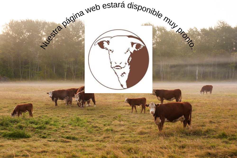Próximamente